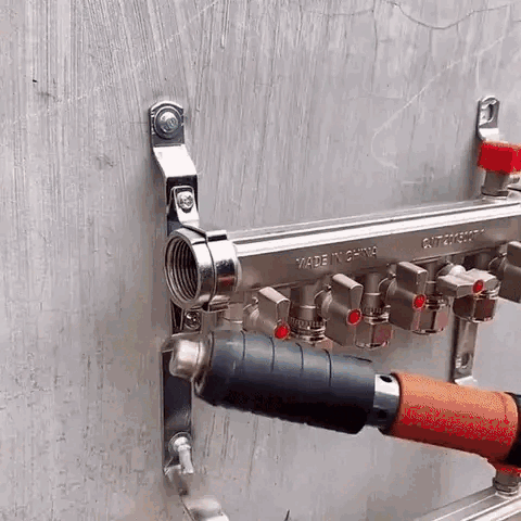 SnapShot™ — disparo y fijación